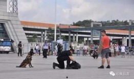 东莞火车站爆料事件最新,真相与争议交织的舆情风暴