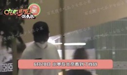 八卦媒体爆料肖战视频下载,肖战视频下载引发热议，真相究竟如何？